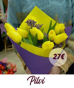 Pilvi