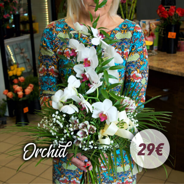 Orchid