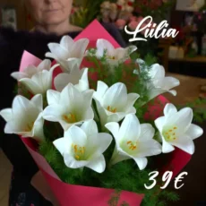 Liilia