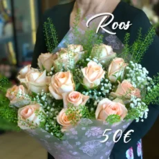 Roos
